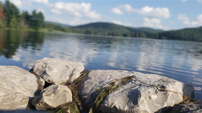 Fossiliferous Limestone at Quaker Lake